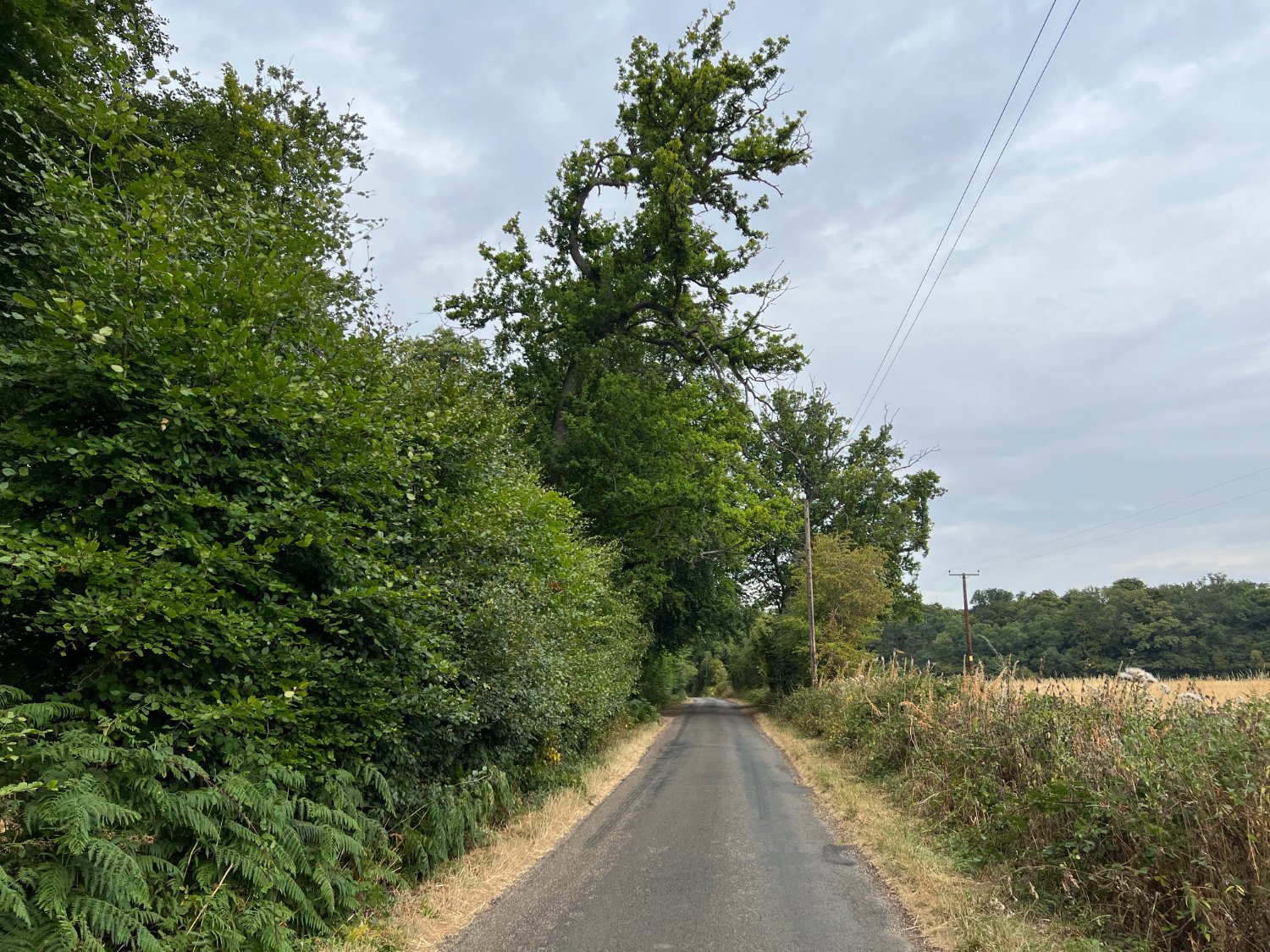 NCN 5 approaching the Chilterns