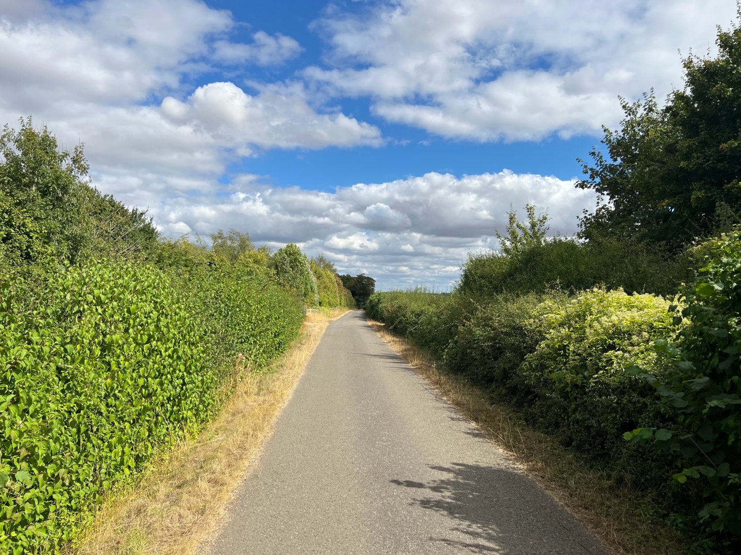 On the Eastern Edge of the Cotswolds