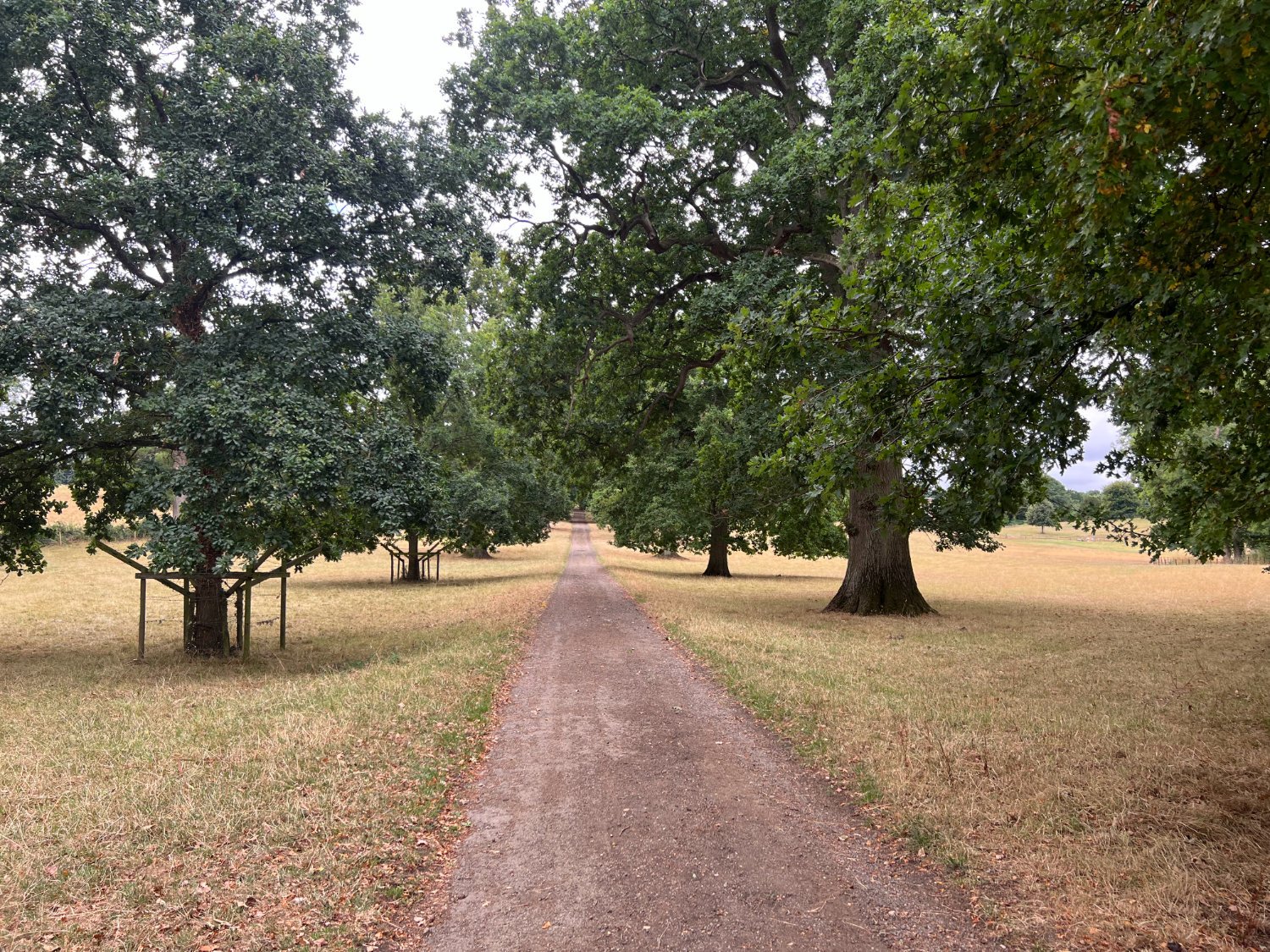The NCN 5 through Warwicksh