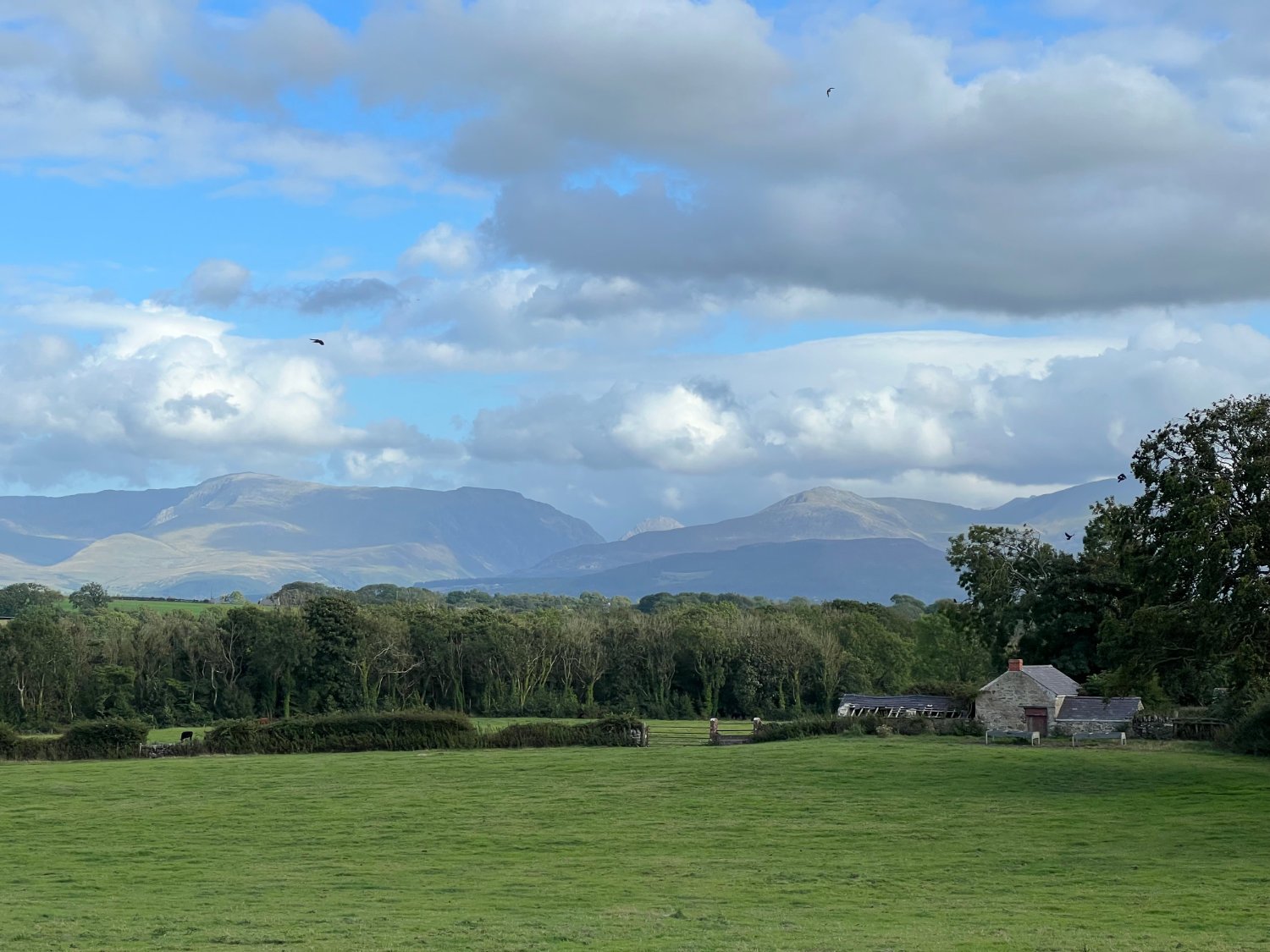 Yr Wyddfa (Snowdonia)