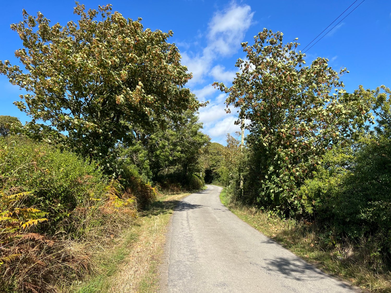 a road across Anglesey