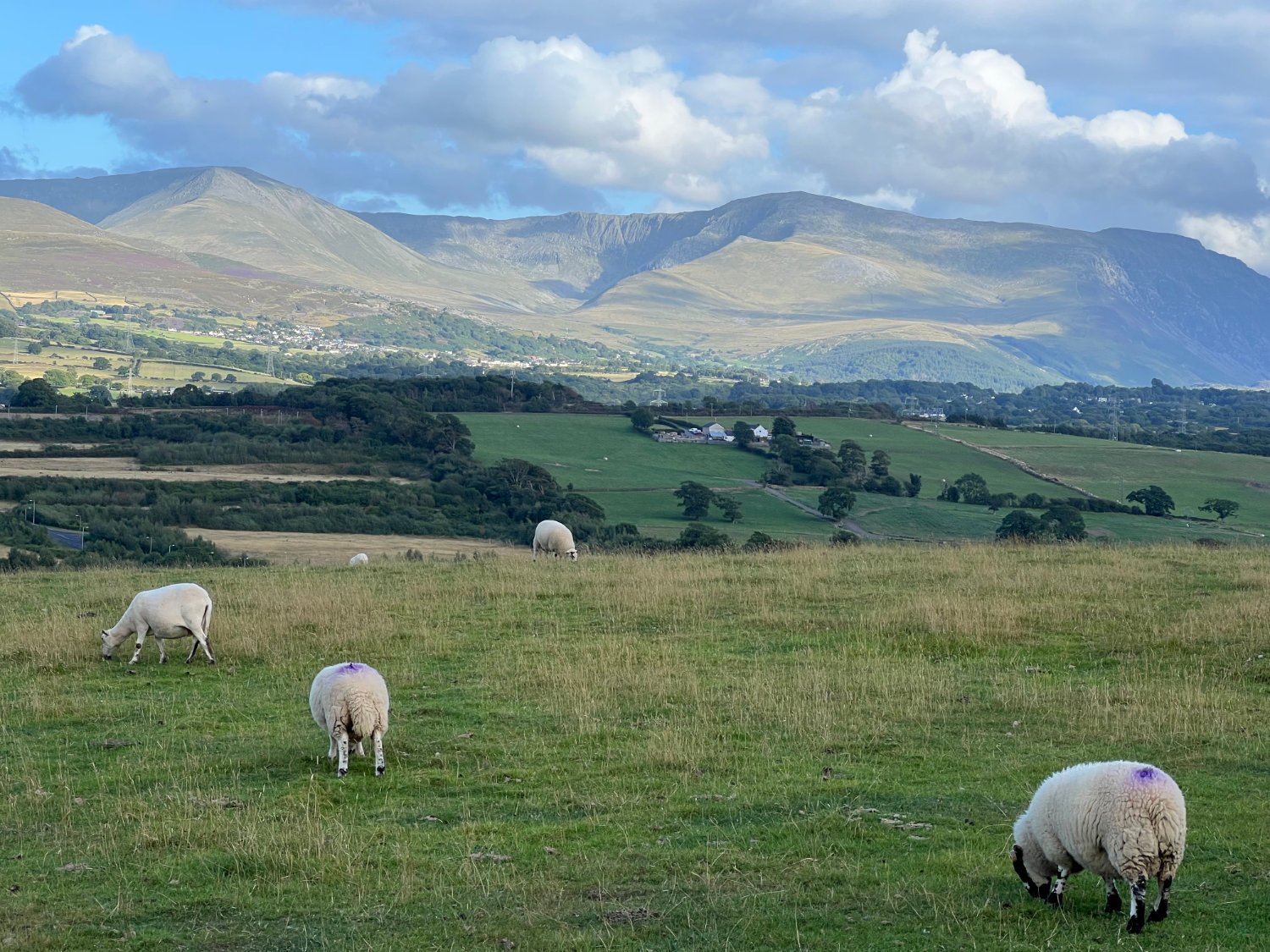 Yr Wyddfa, (Snowdonia)