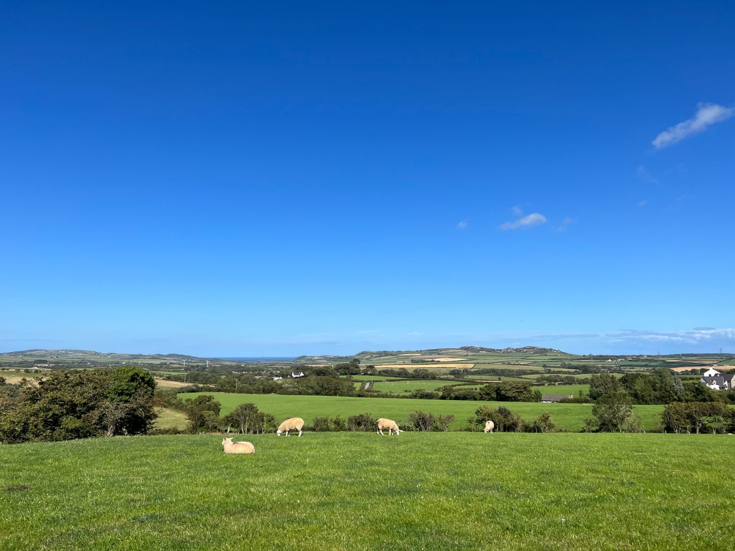Anglesey