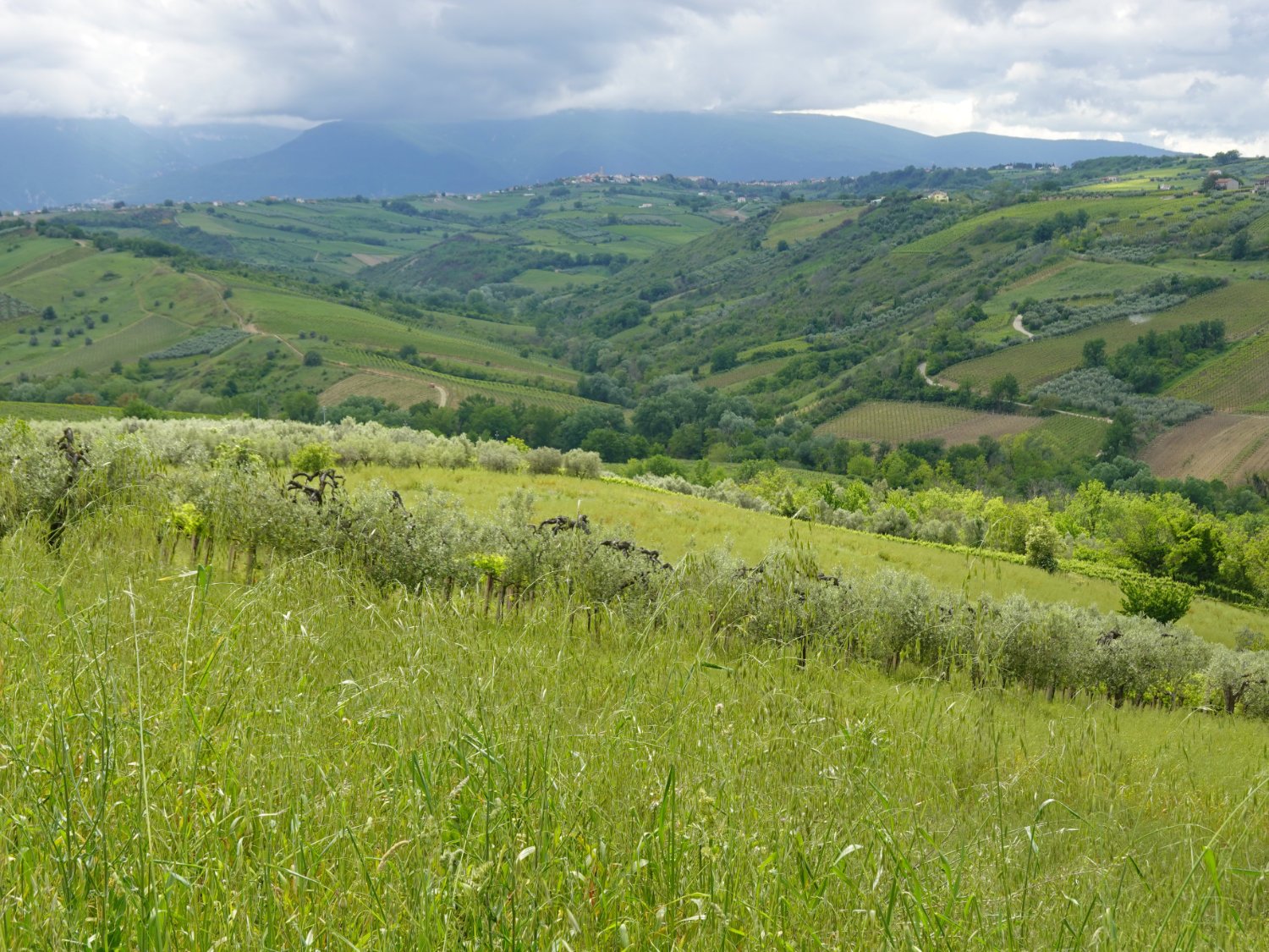 Looking across to the Maiella mountains