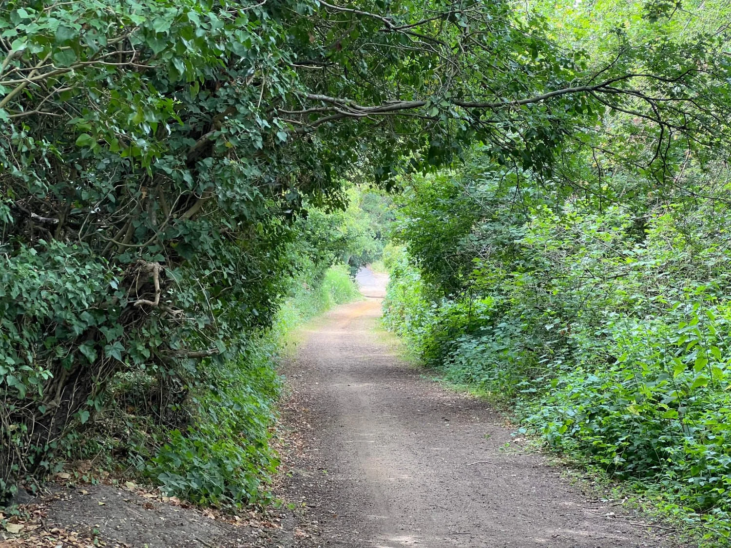 Stanwell Moor