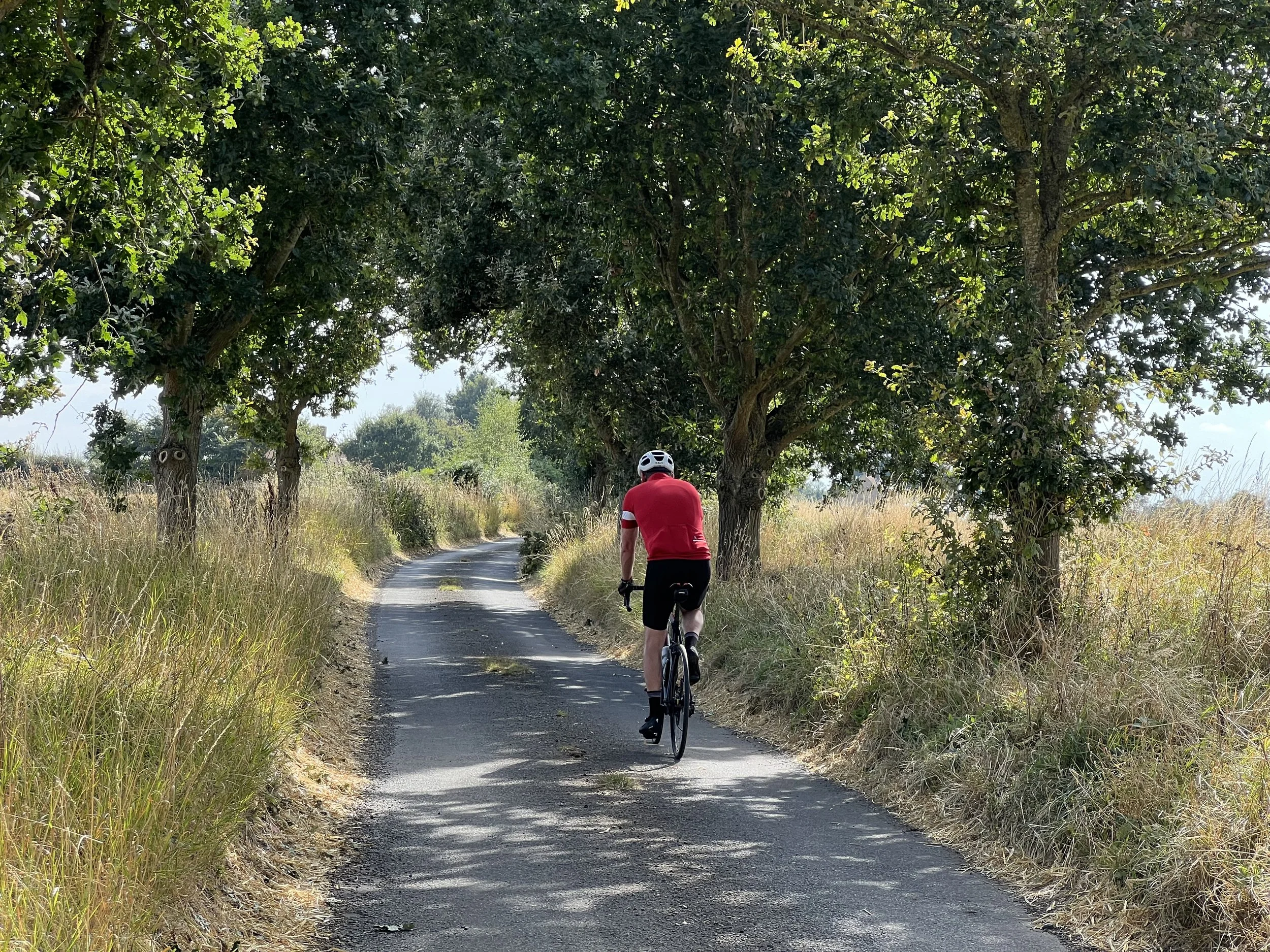 Chiltern Lanes