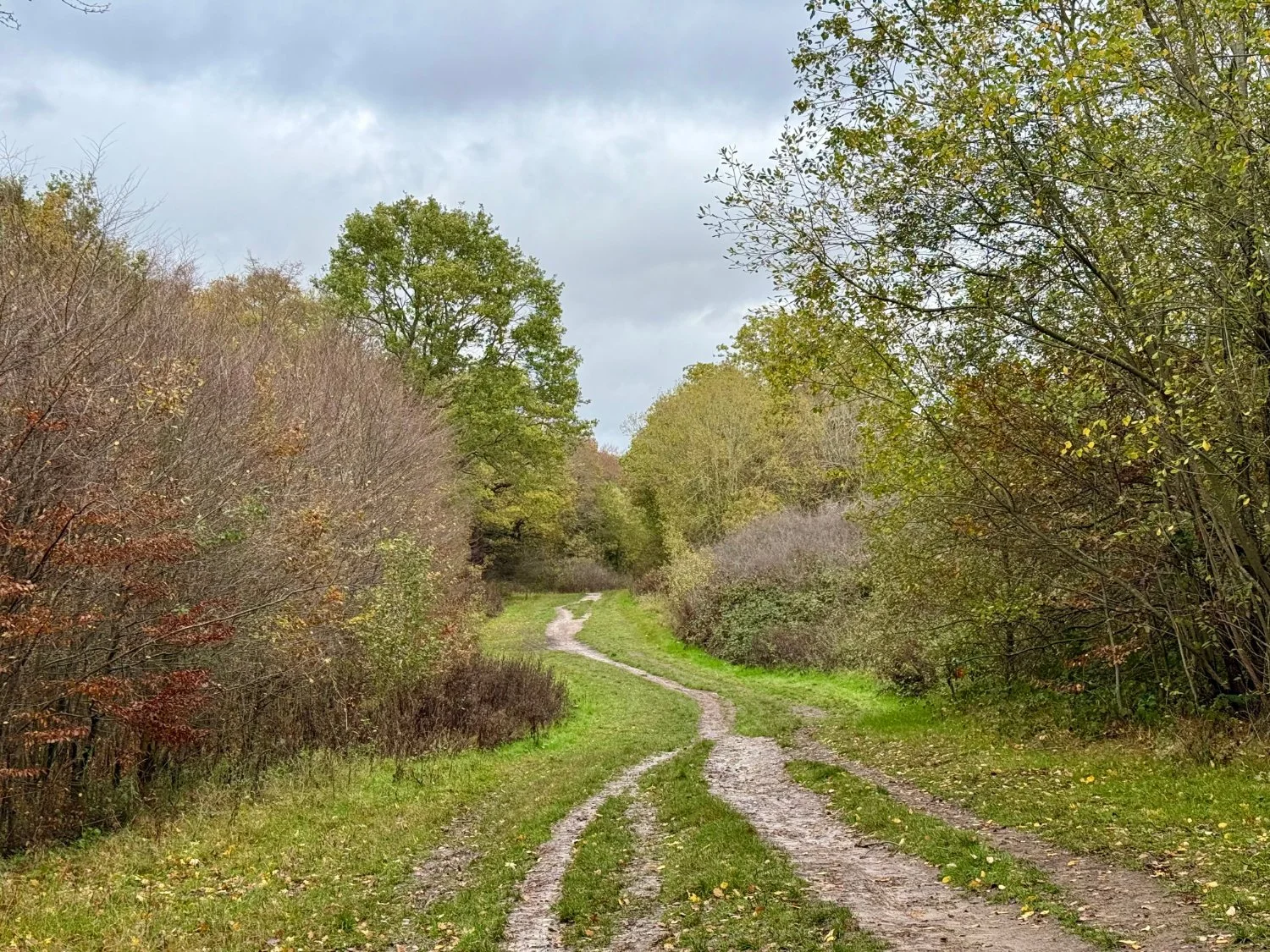 Great riding - if slippery after rain