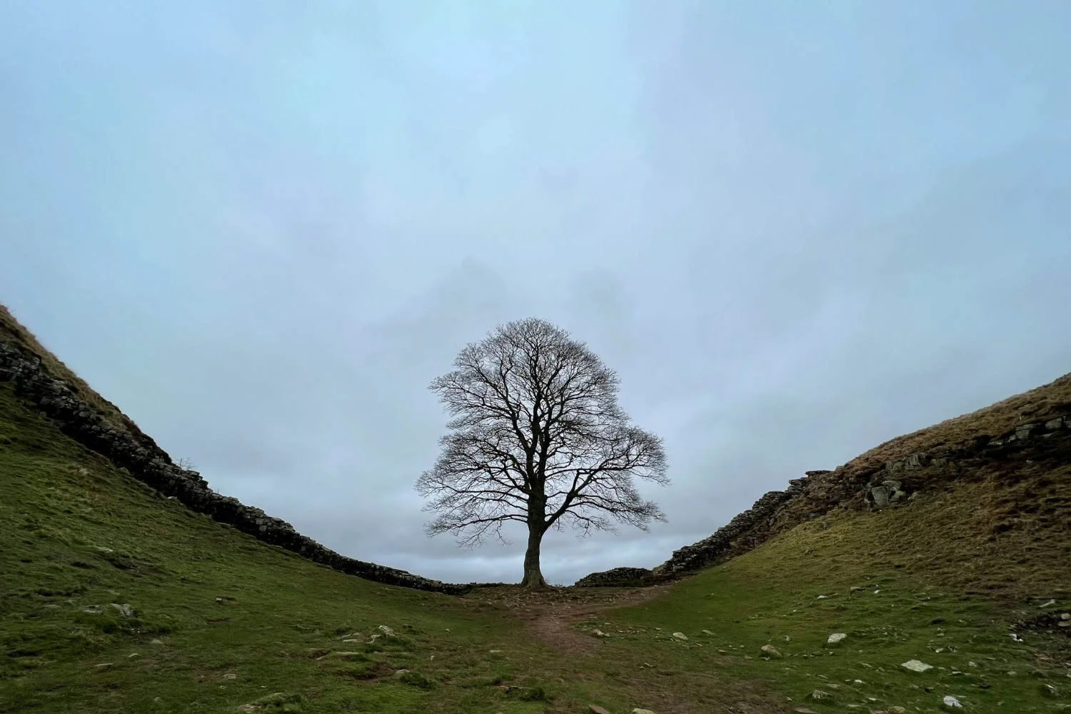 The Sycamore Gap - as was