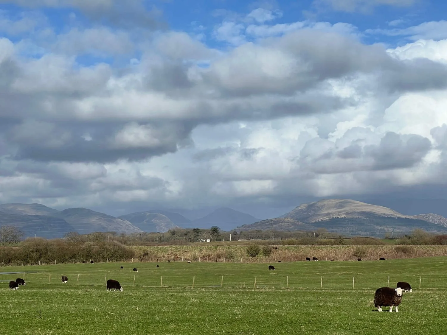 The lakeland fells 