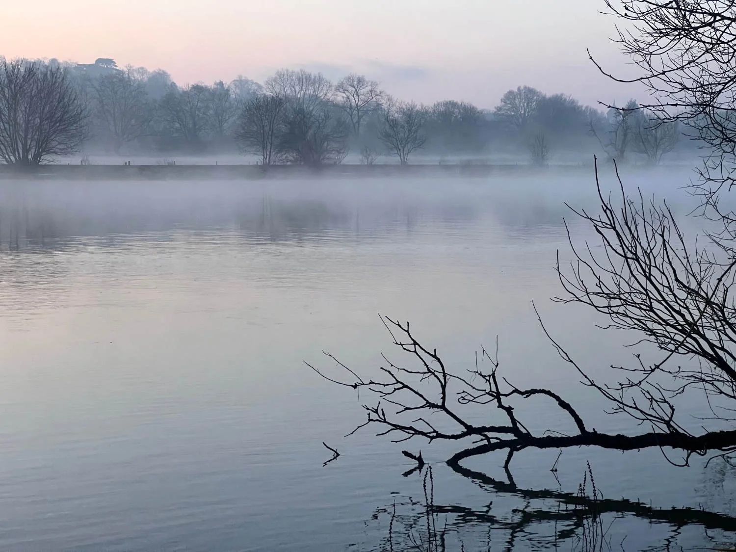 Dawn over Buccleugh Gardens, Twickenham