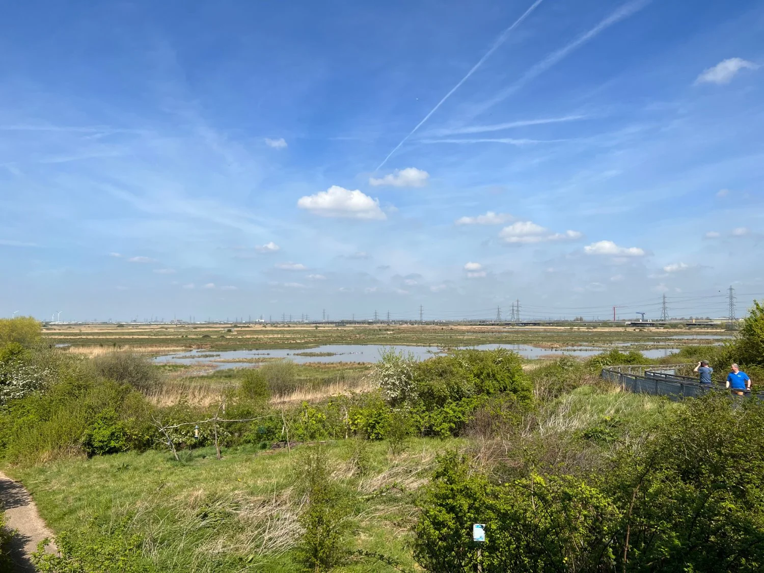 Dartford Marshes