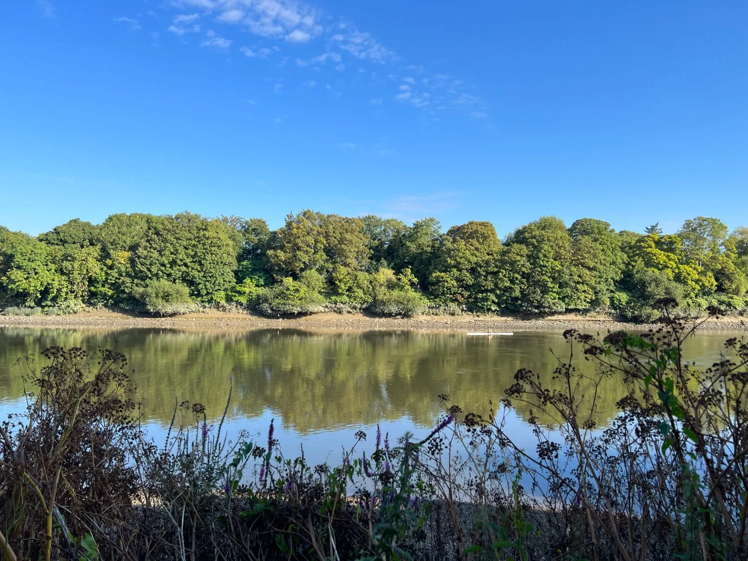 The. banks of 'Arcadia'