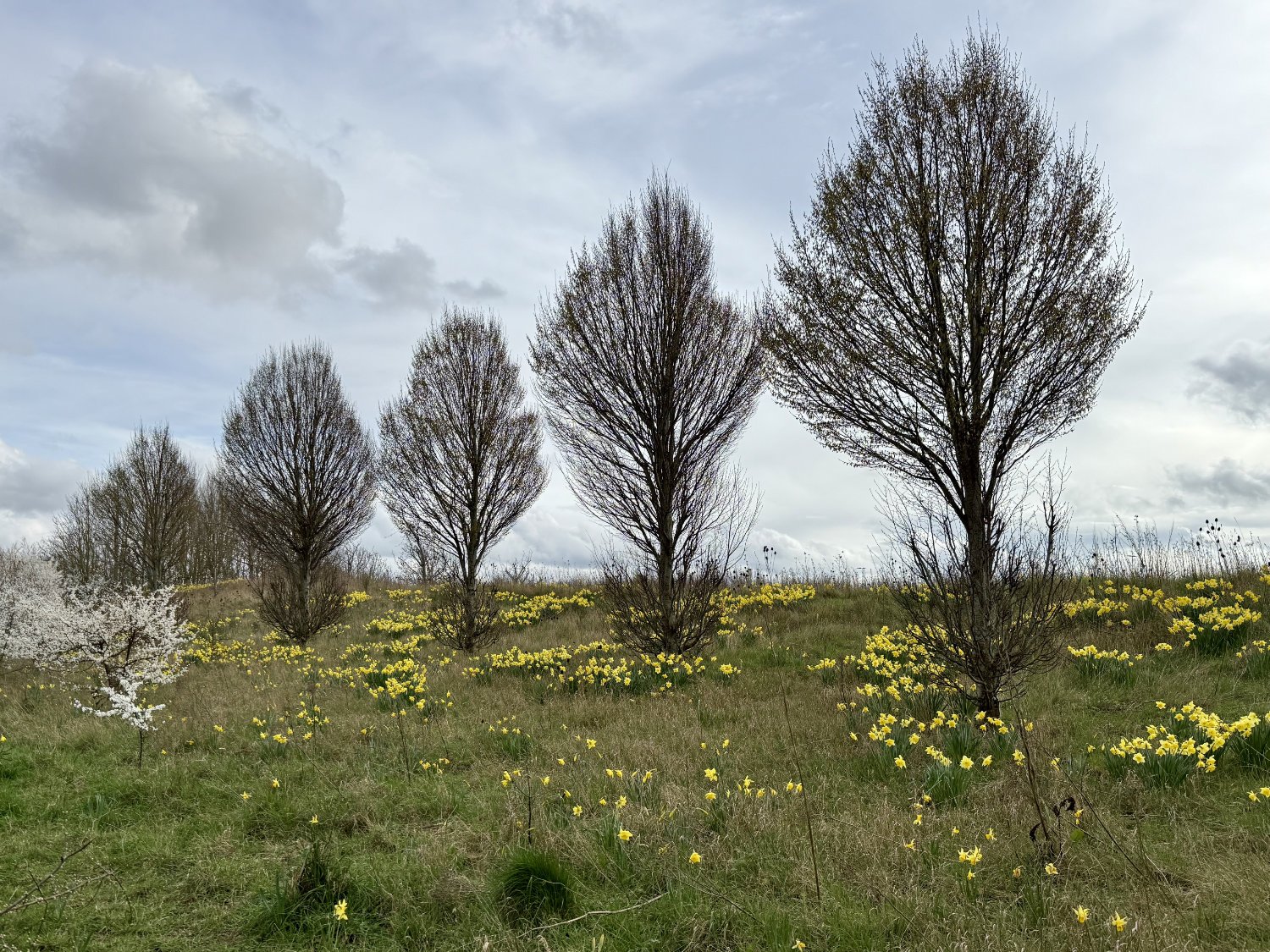 NCN 177, Watling Street.jpg