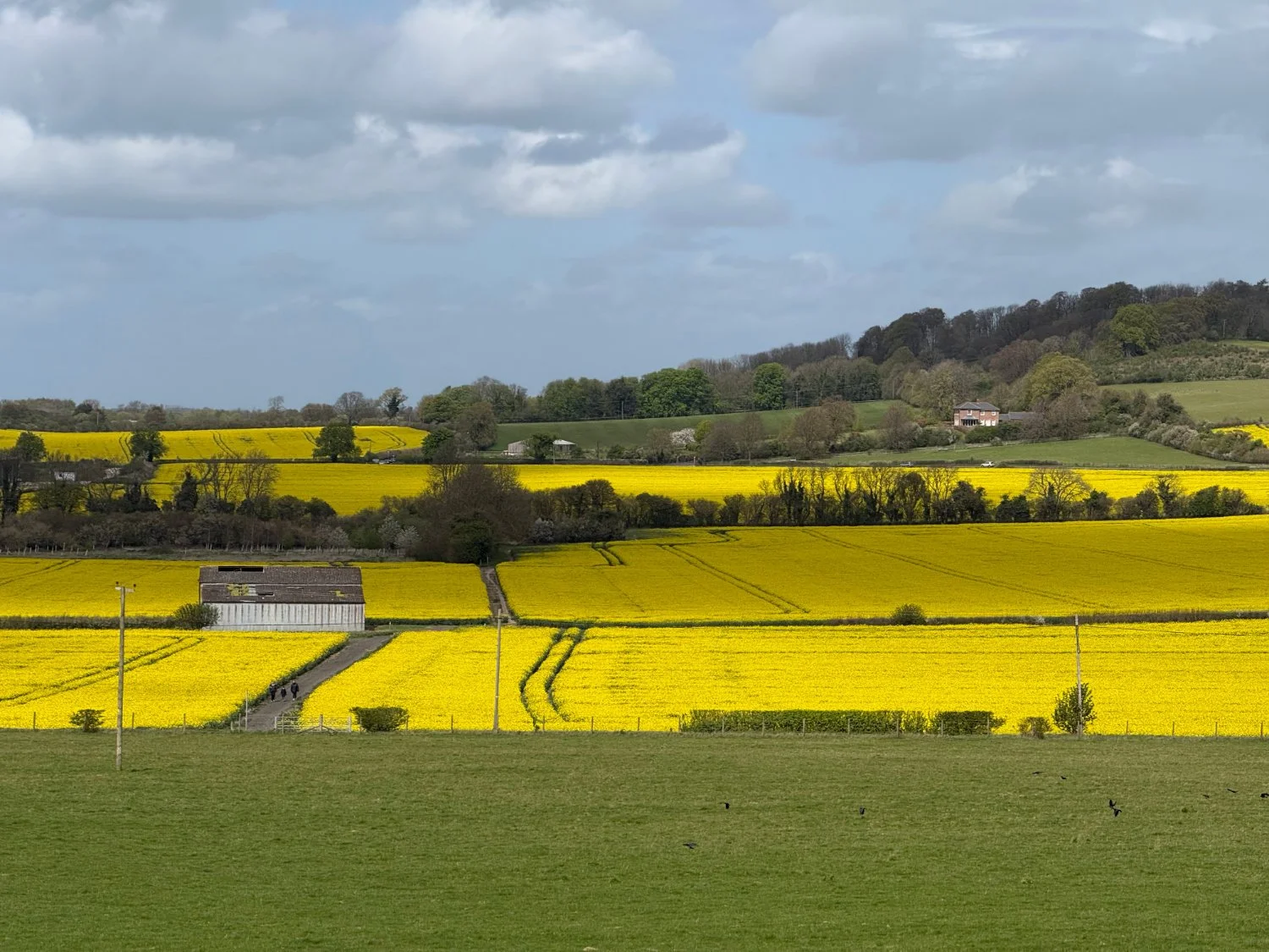 Looking towards Tring