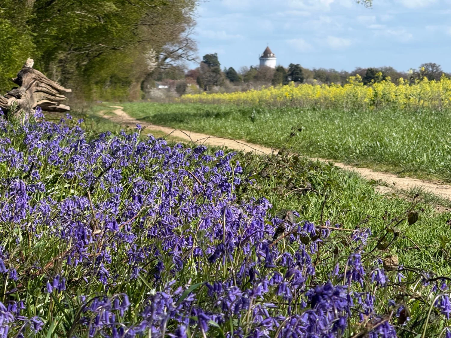 The path to Berkhamstead