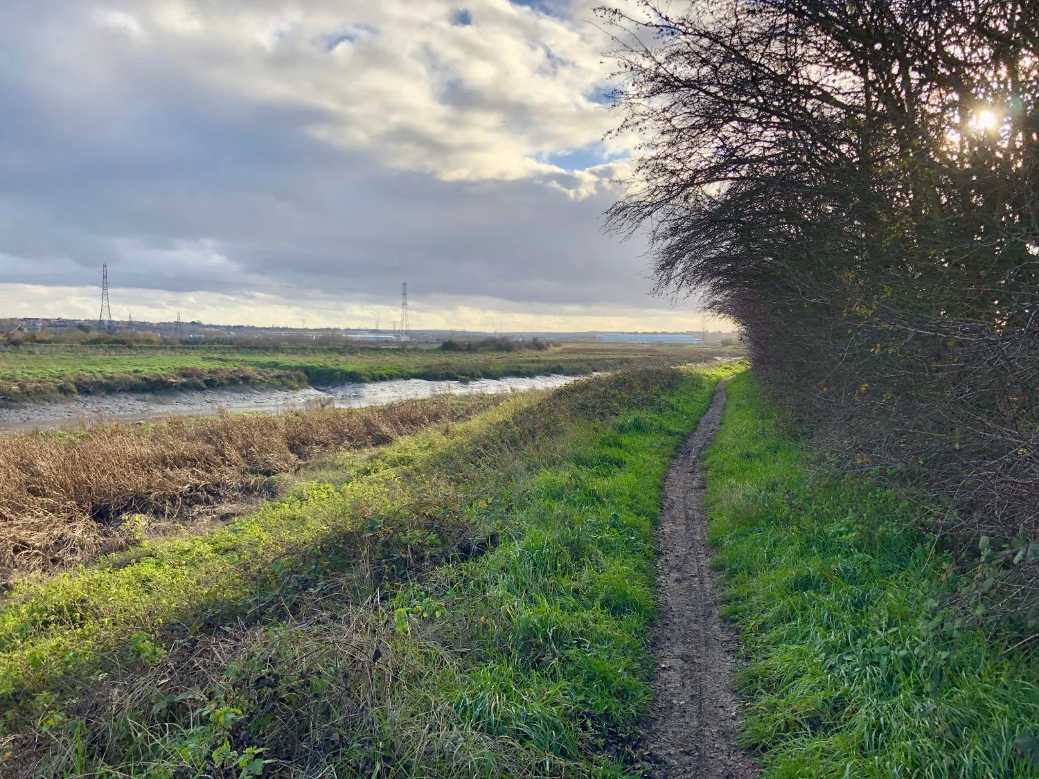 Dartford Marshes