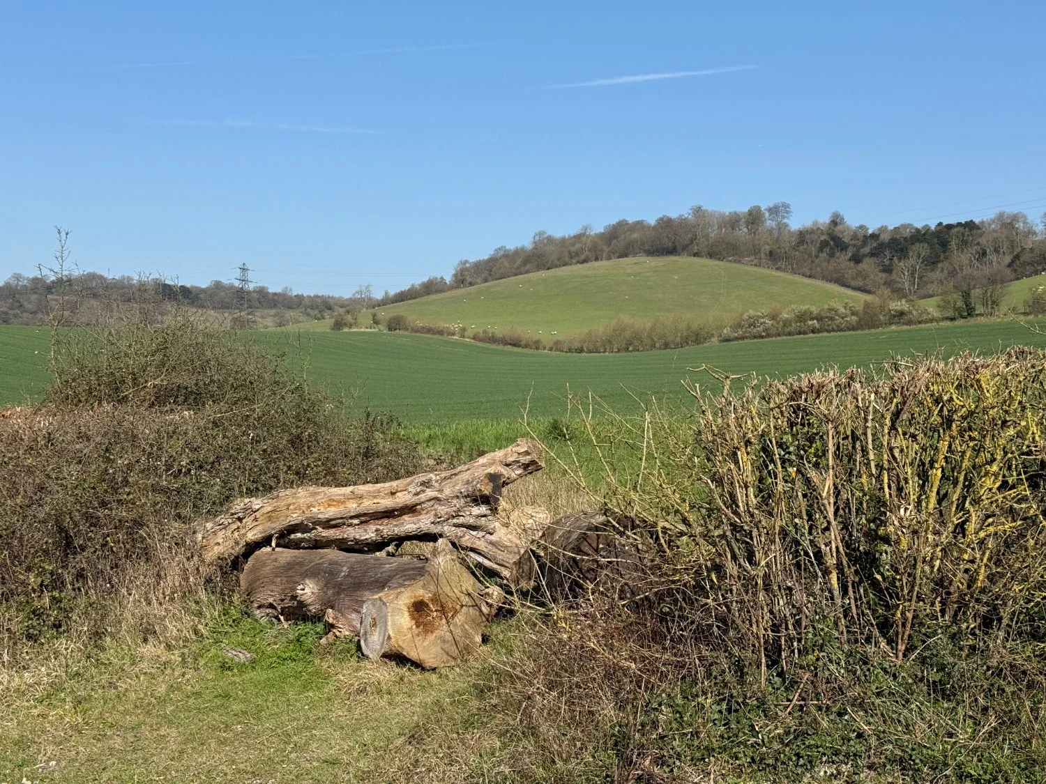 North Downs, Thurnham