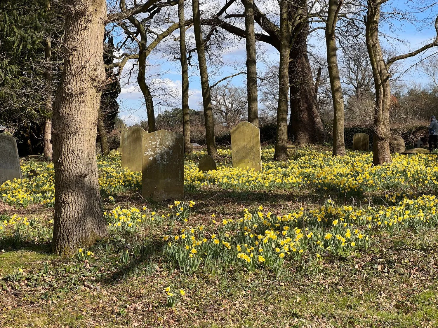 Ayot St. Peter
