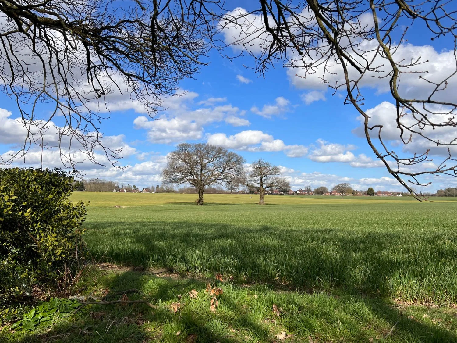 Knebworth