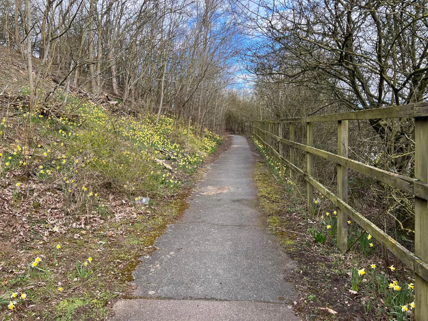 NCN 12 Wymondley