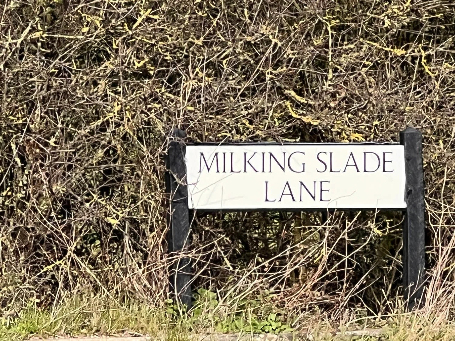 Great Gidding