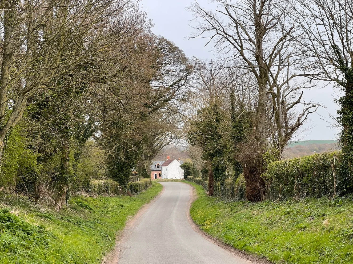A road across the Wolds