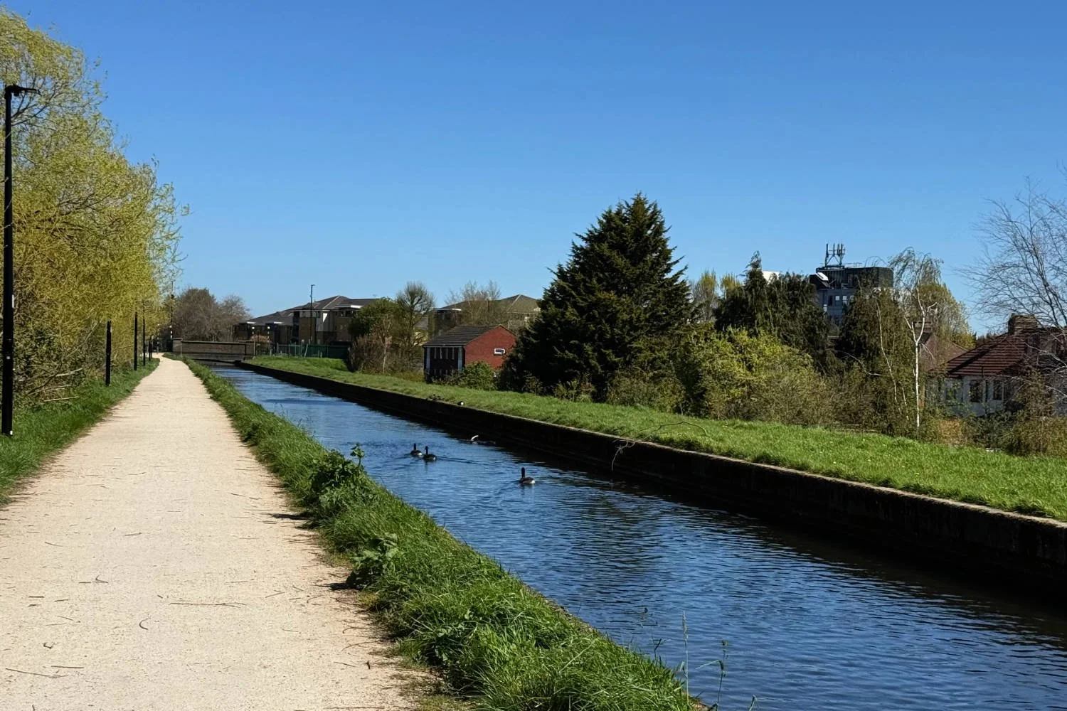 New River, Enfield