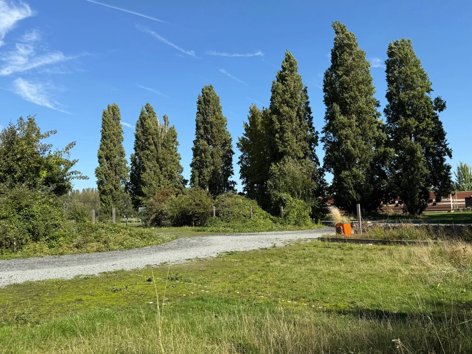 Hackney Marshes