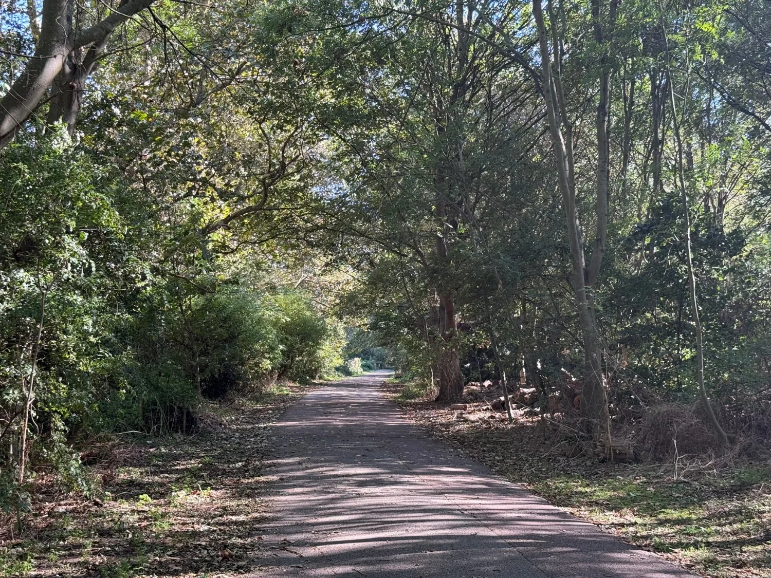 The River Lea Cycling path