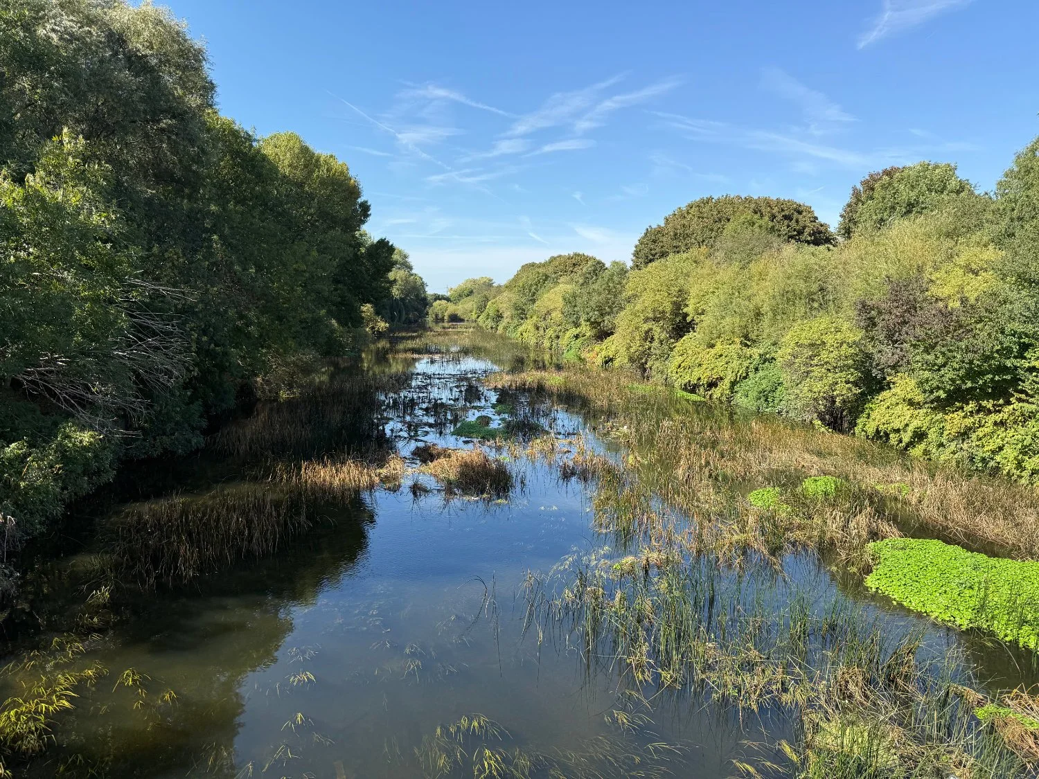 The river Lea