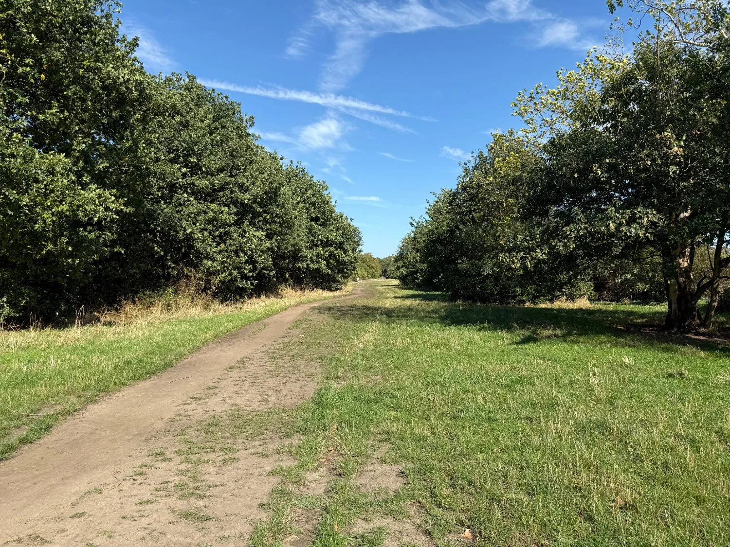 Wanstead flats