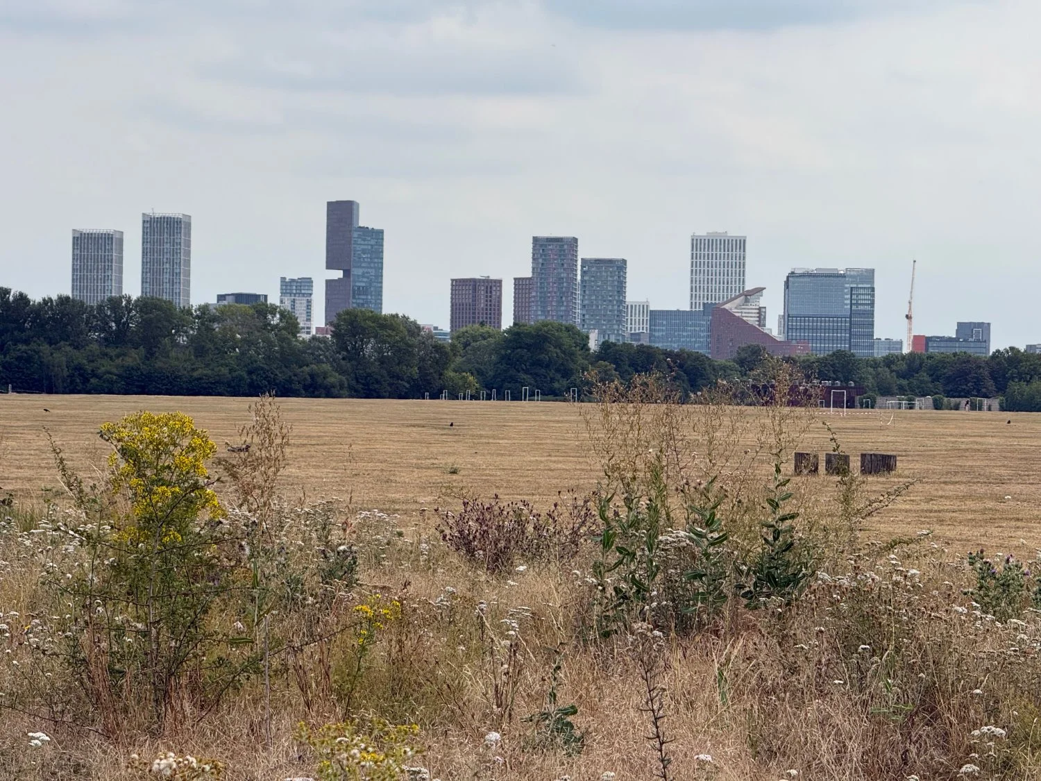 View of London's towers from Hackney Marshes