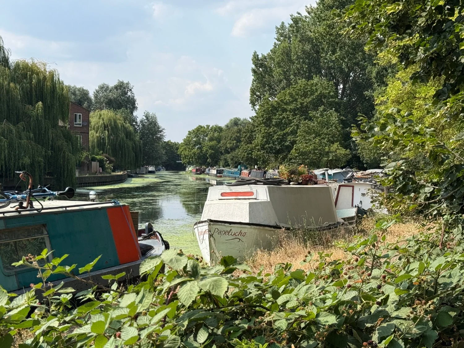 Canal boats on the river Lee