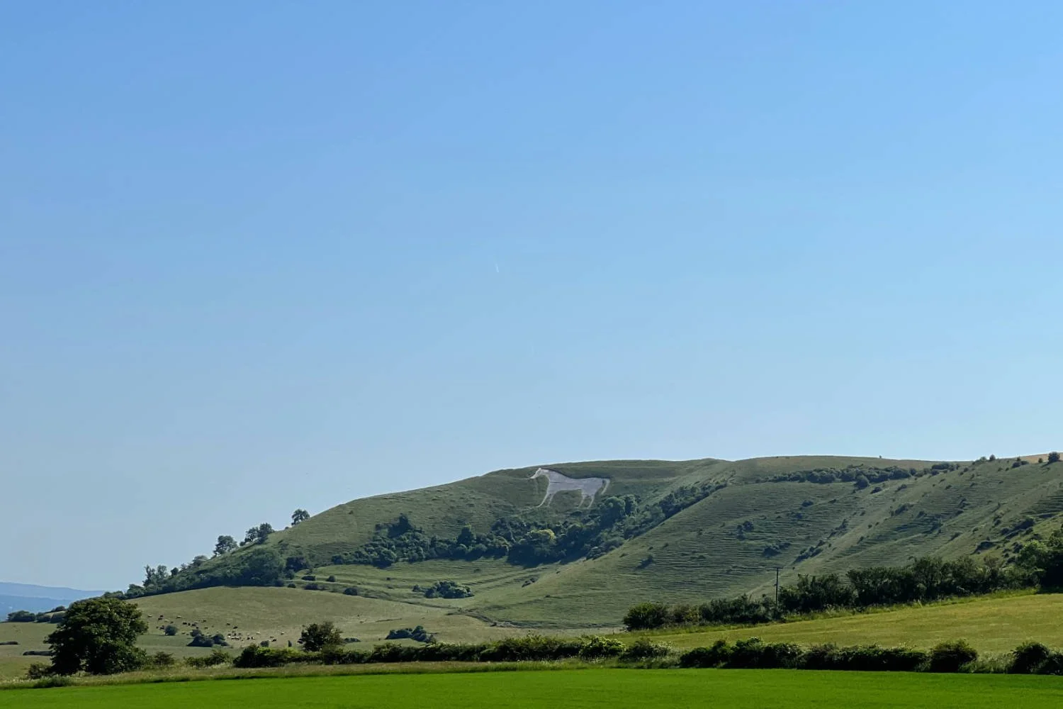 65km - Gravel Ride - The White Horse Ridge