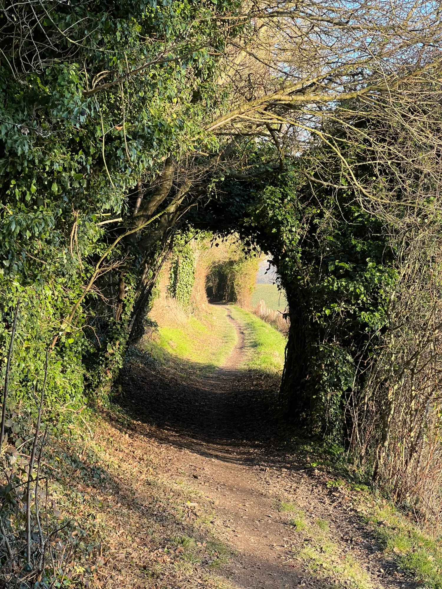 Ancient holloways have been created by a millennia's worth of feet and cartwheels