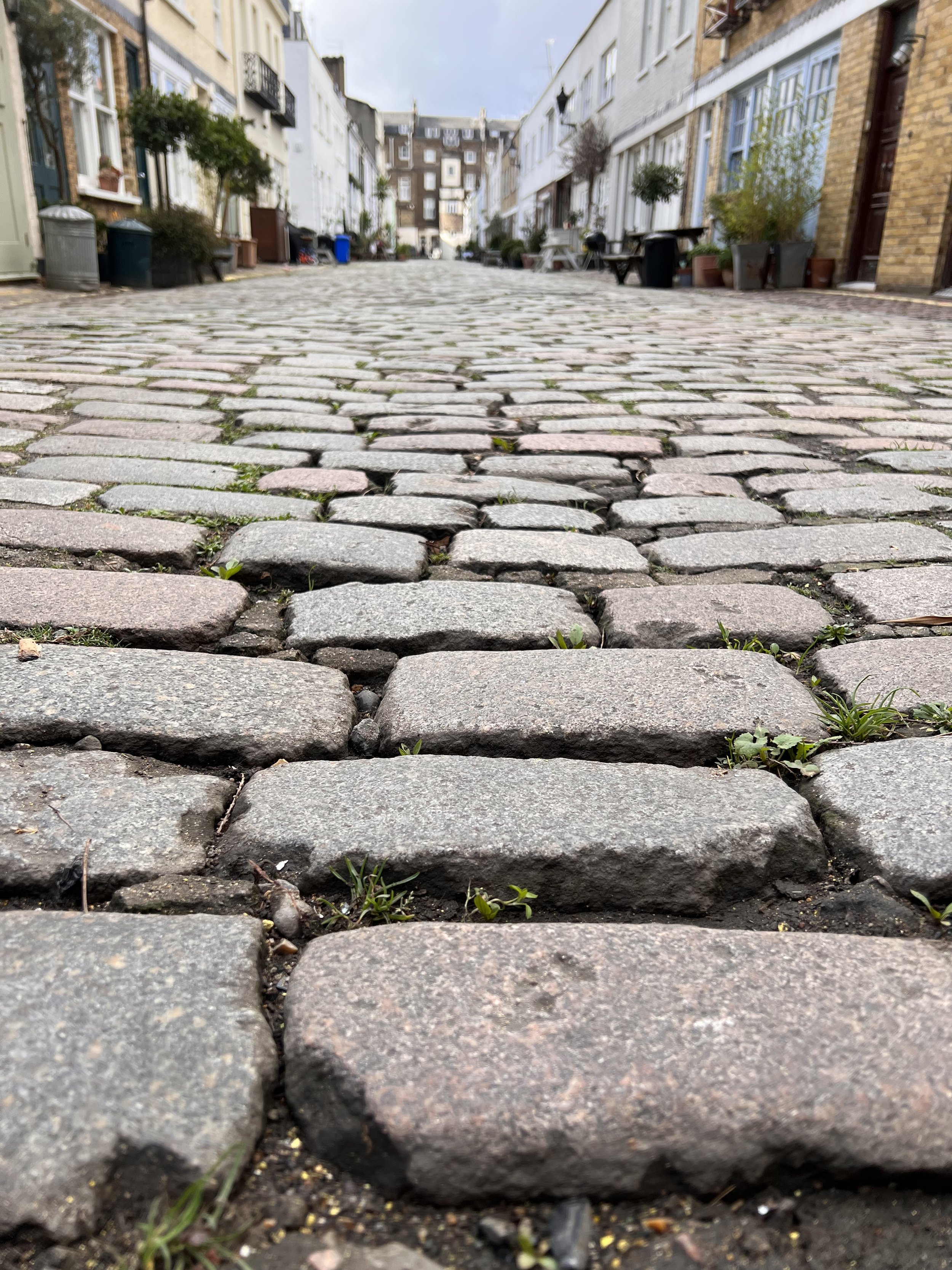 Ride Flanders - in London