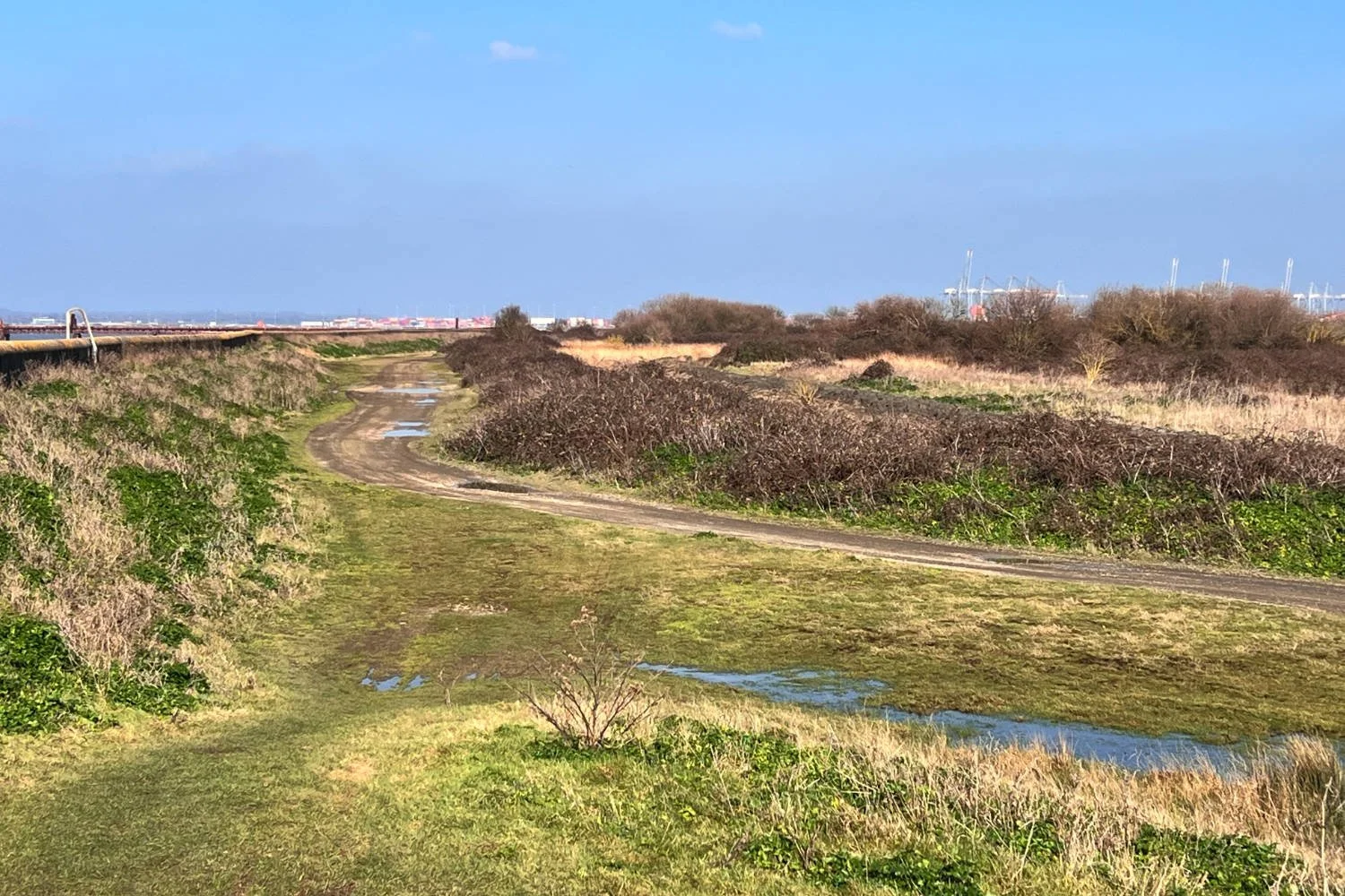 The Hoo peninsula are the end of the Thames Estuary is a fabulous gravel ride destination