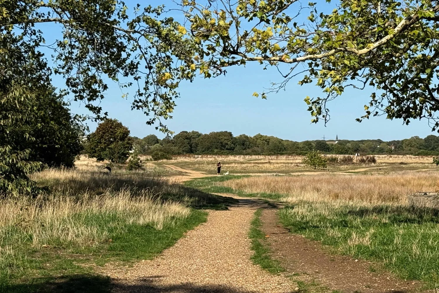 Wanstead Flats is just that - flat and full of gravel paths. Lakes, woods and gravel adventure