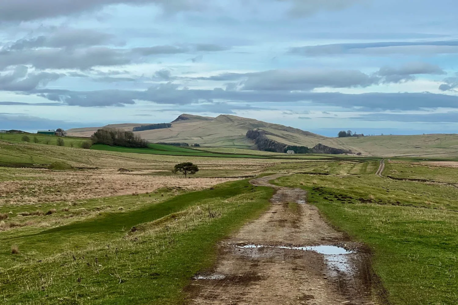 A bit of rough stuff to keep cyclists closer to the Wall