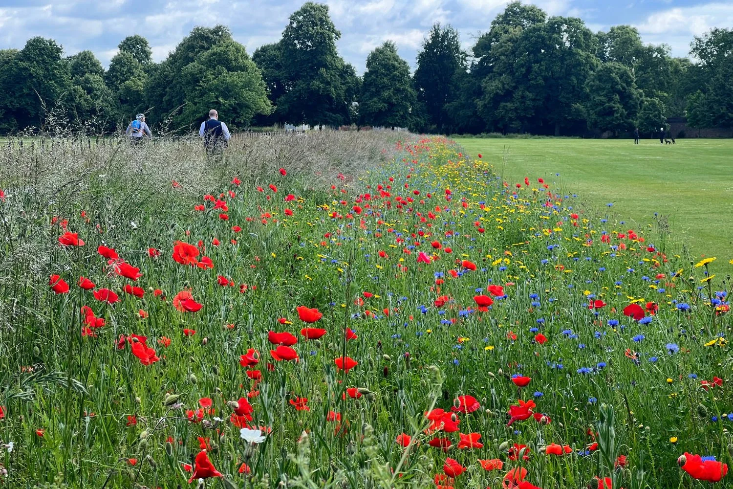 Syon house, home to the Duke of Northumberland