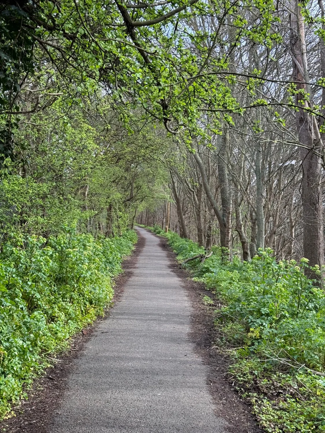 A safe, traffic-free cycle path alongside Watling Street