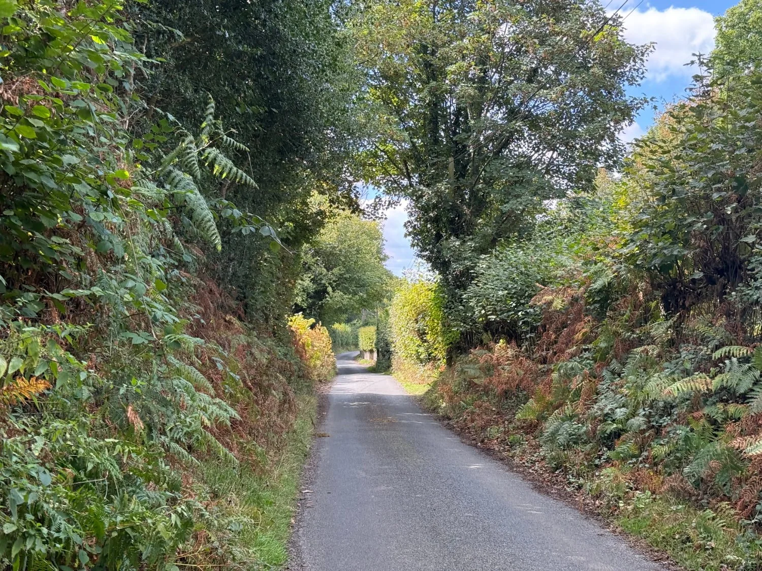 Superb country lanes, narrow and tree-lined lead through the Weald of Sussex