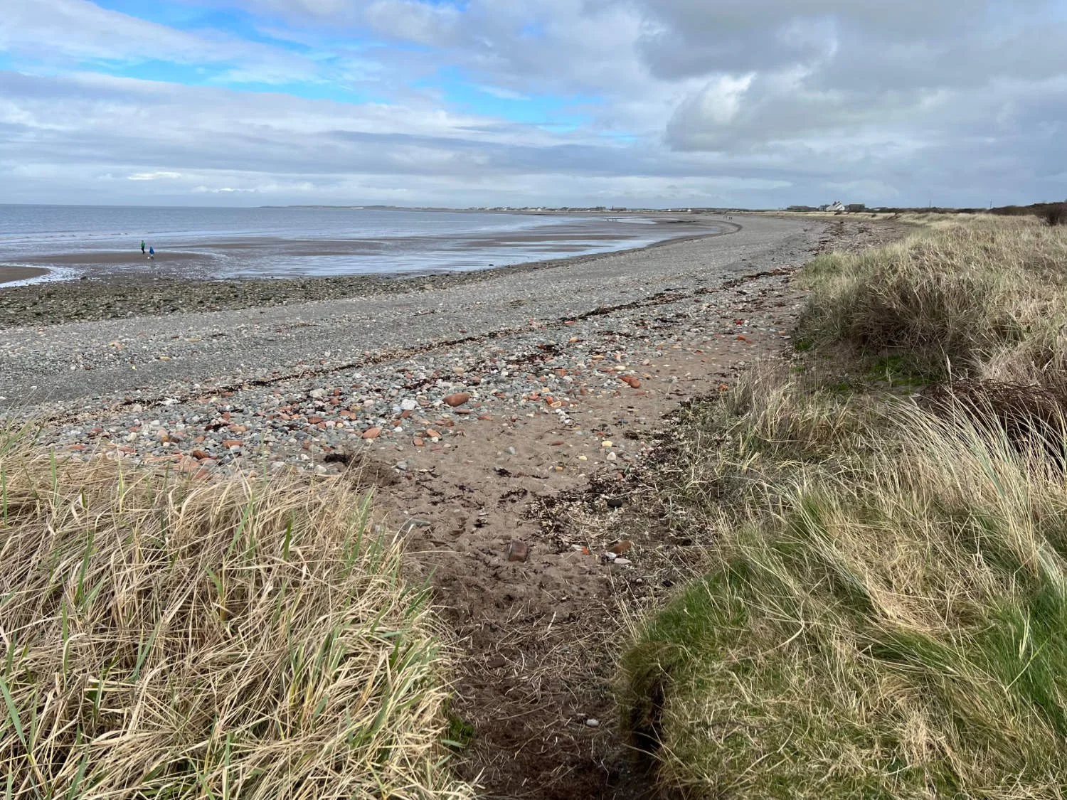The wide expanses of sand, shells and shingle along Cumbria's coast