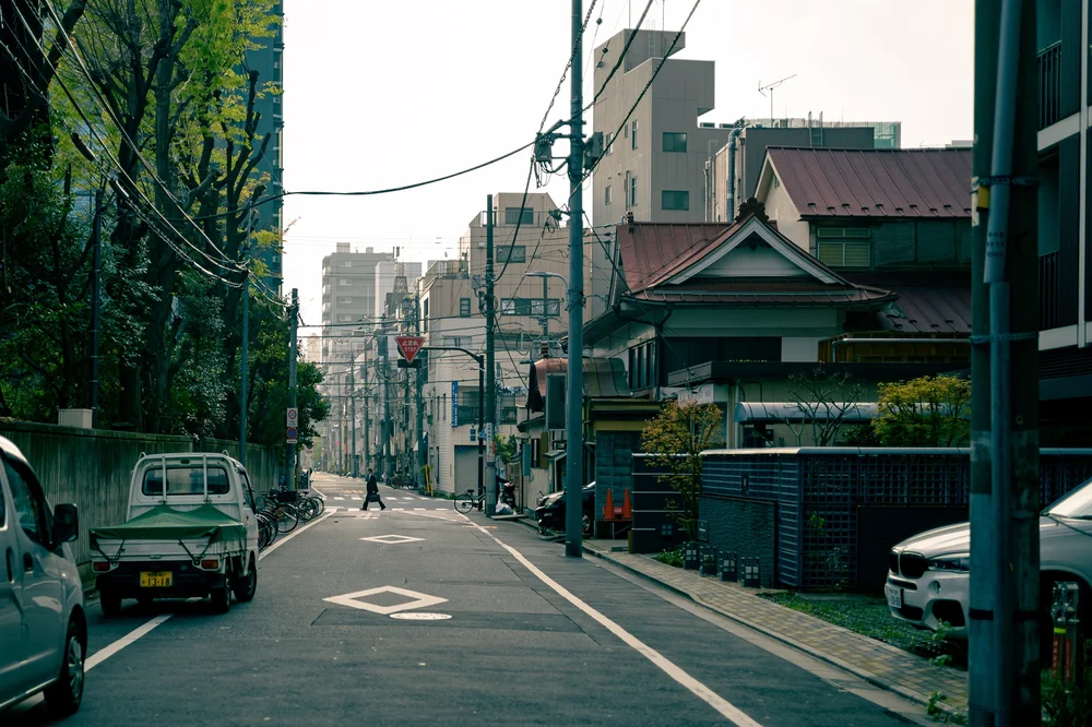 20240407-NZF_1966.jpg