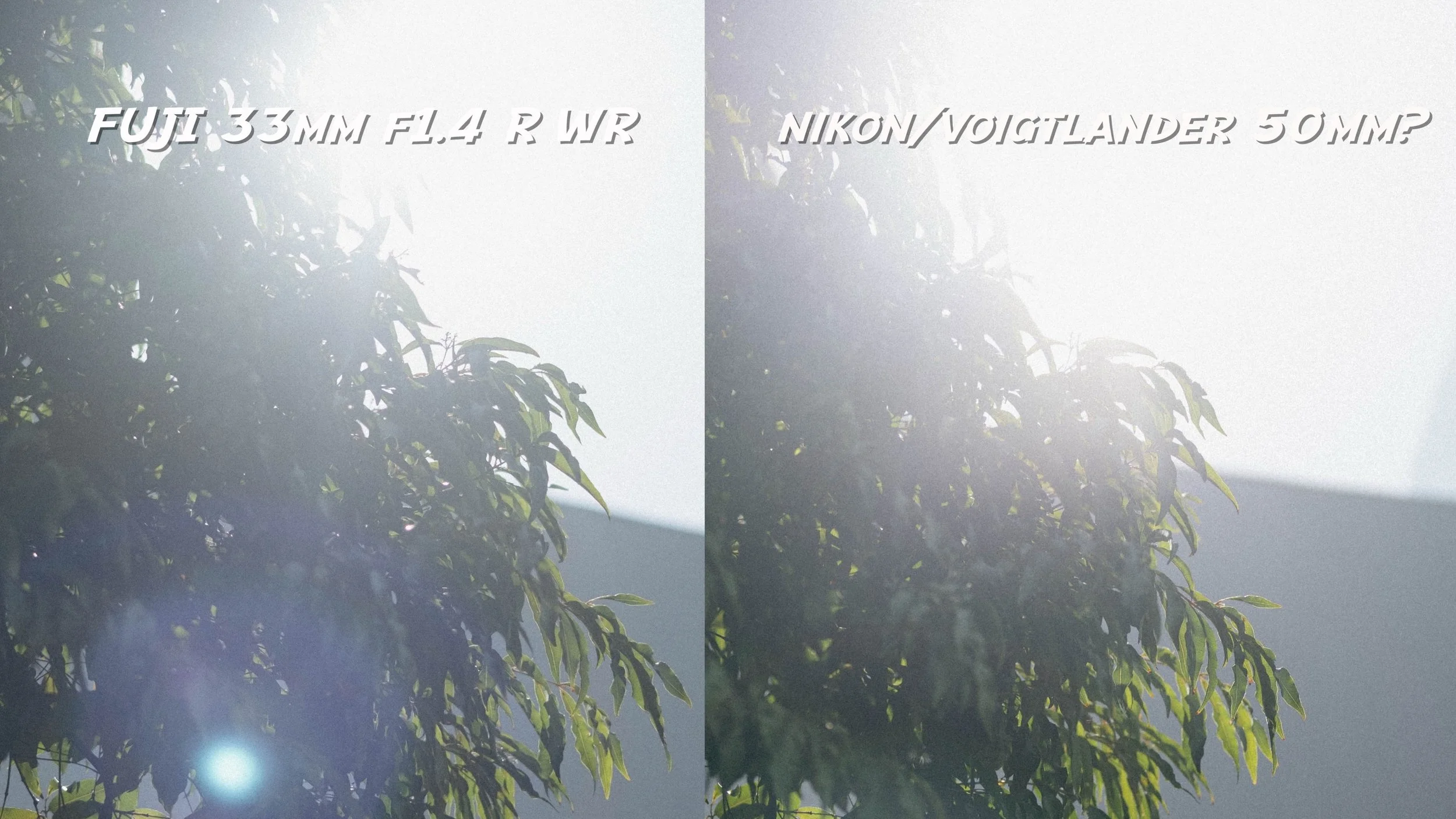 BT072-Zf-XT5 Clip-50.jpg