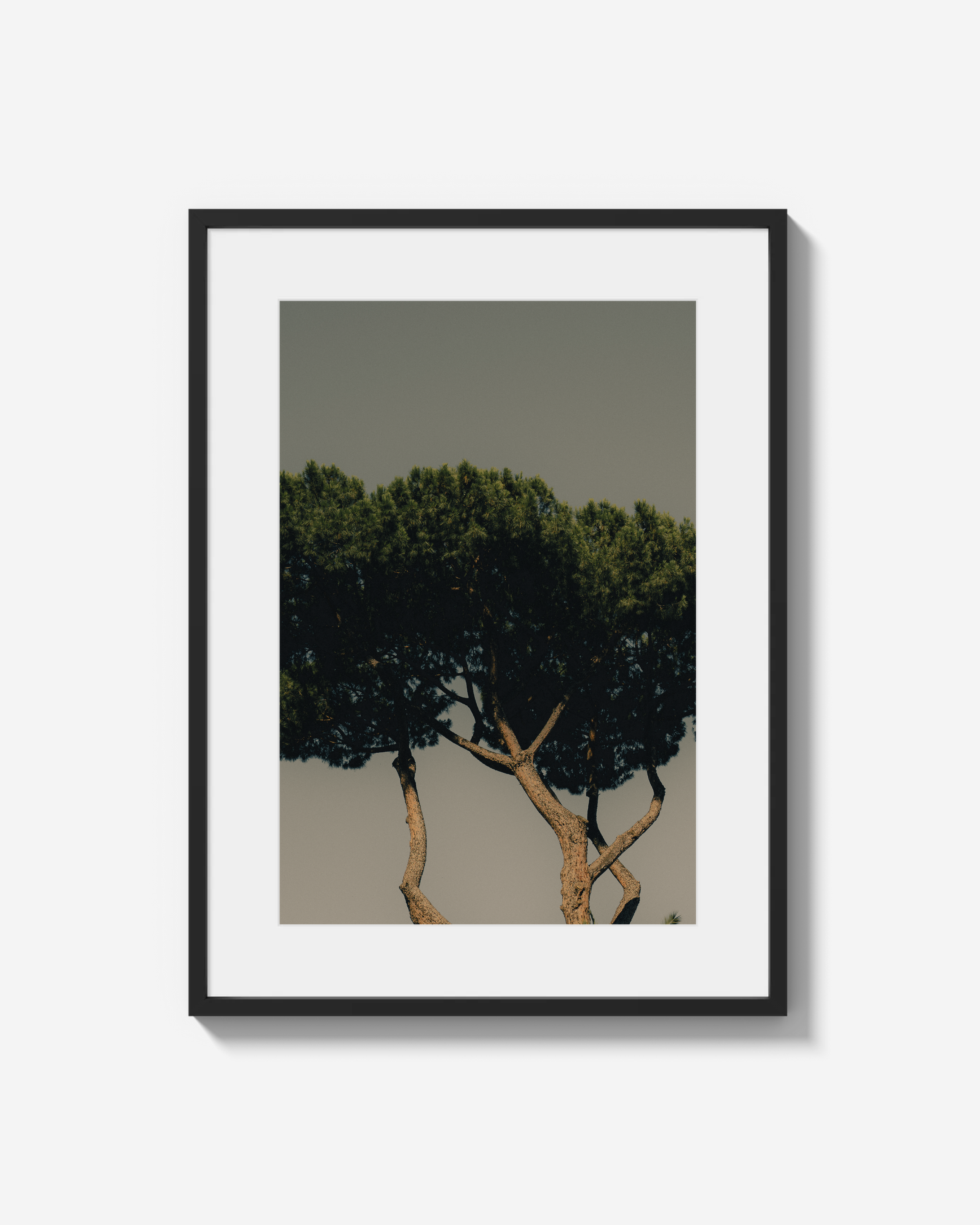 None Framed and Framed-36.png
