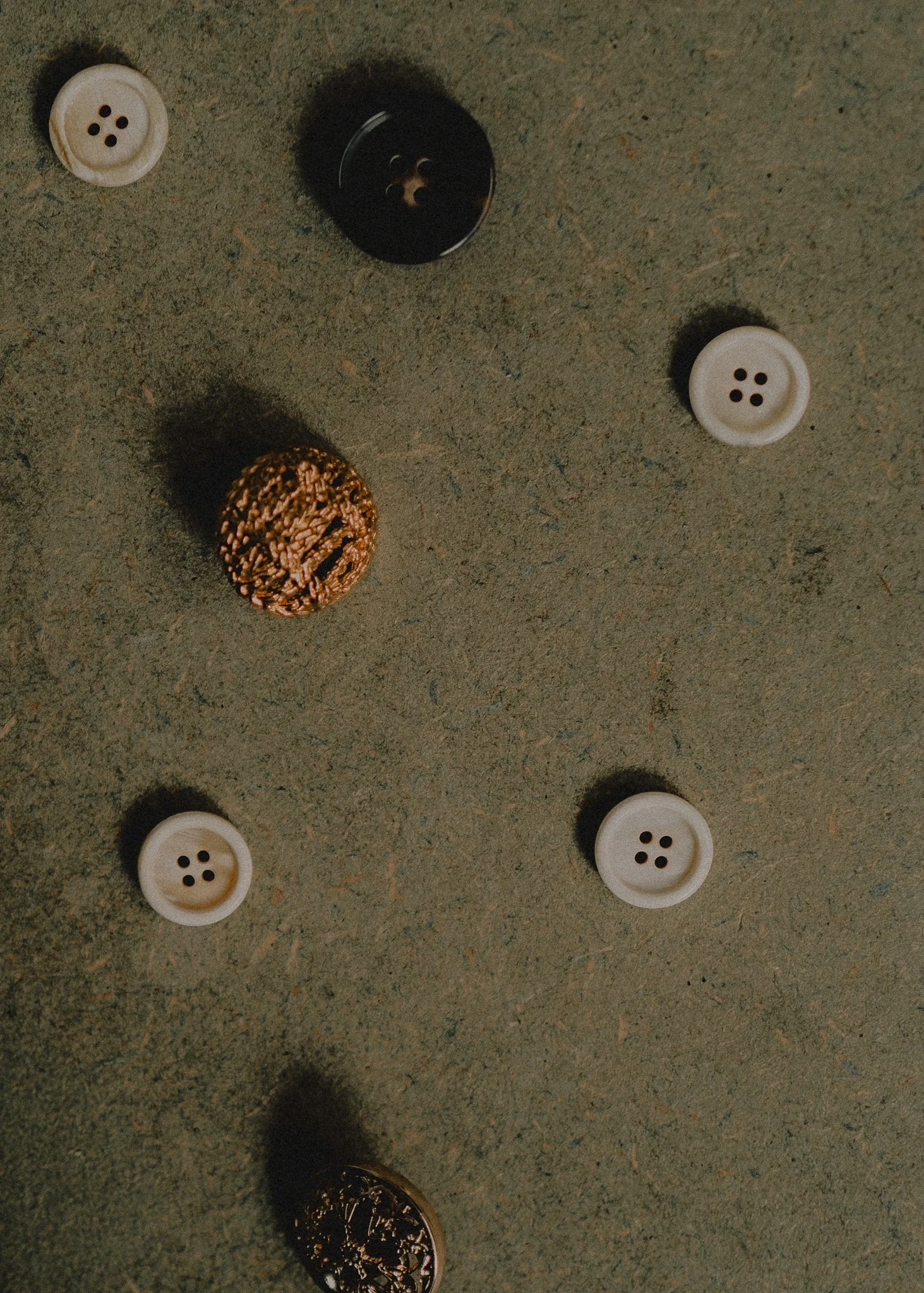 L1012717.jpg