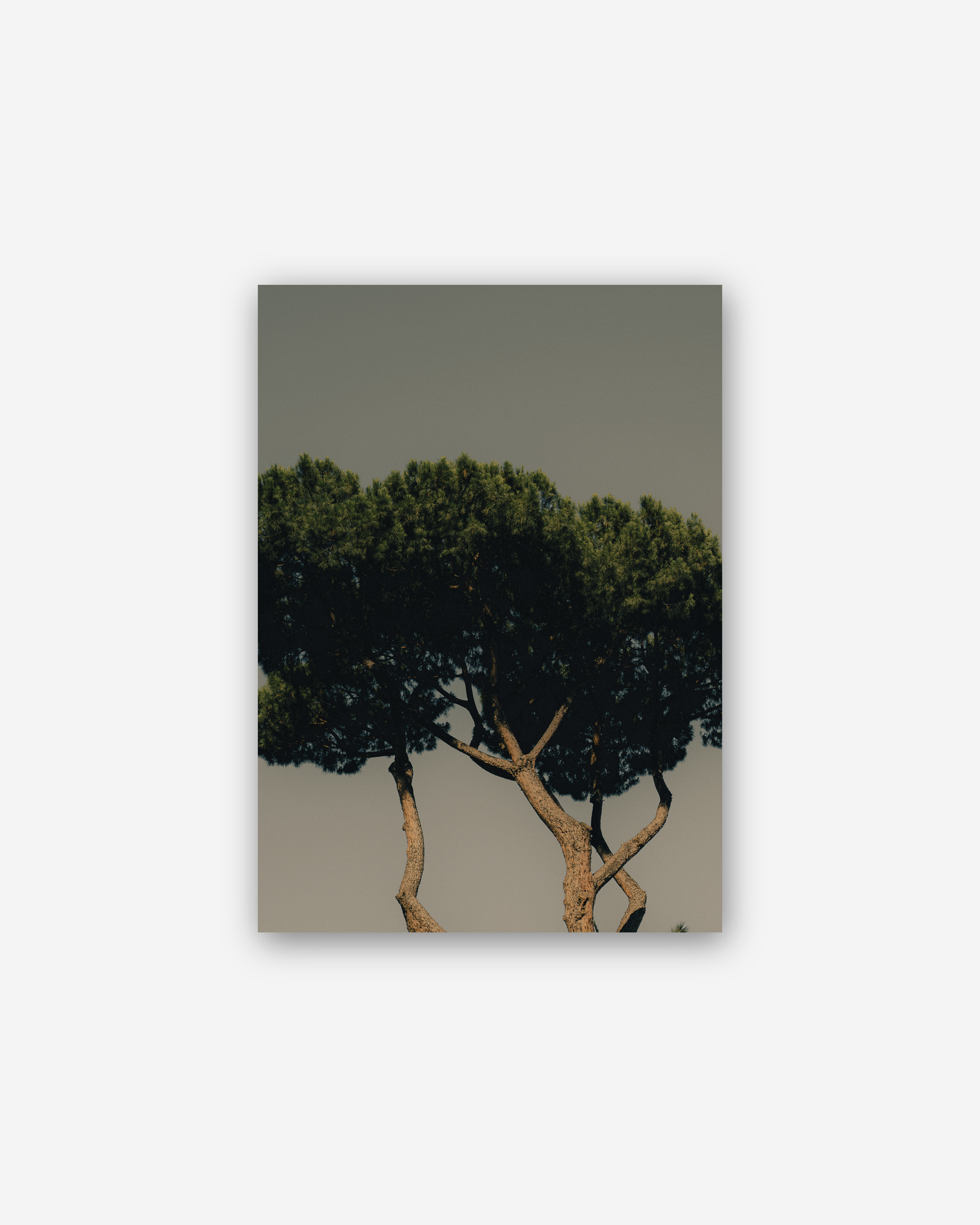 None Framed and Framed-35.png