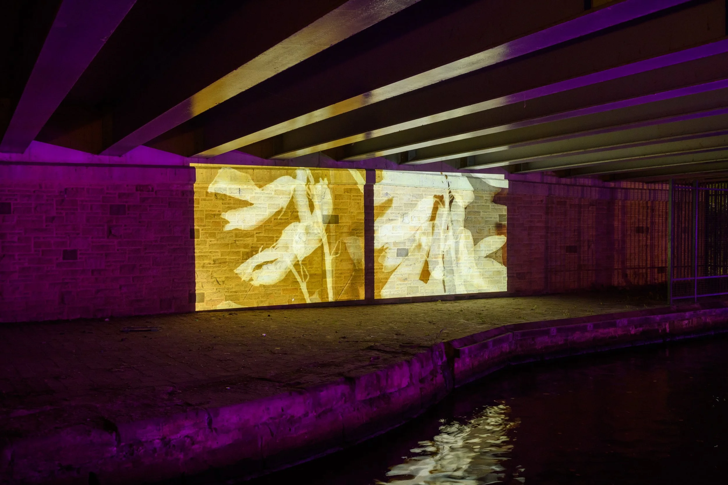 Light Night Wigan 2022 — Things That Go On Things