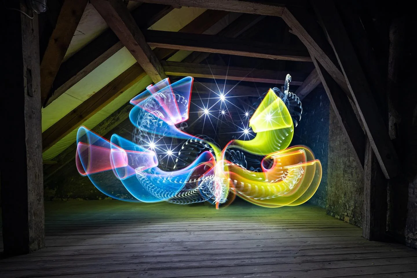 Created using the 'Parrot’ Tri-Colour Evolved Choob by @querbeetphotographie